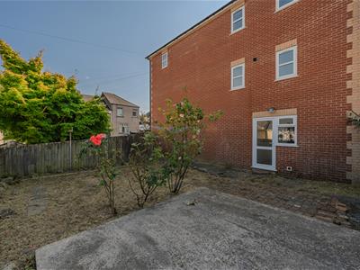 Picture 29